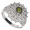 BG ring circular 004-Y - Metal: Silver 925 - rhodium, Stone: Moldavit and garnet