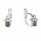 BG garnet earring 159 07 - Metal: Silver 925 - rhodium, Stone: Moldavit and garnet