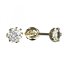BG zlaté náušnice 870 Bílé zlato - 585 Diamant