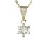 BG zlatý přívěšek s diamanty 978 Růžové zlato 585 (30-90dní) Diamant lab-grown