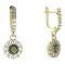BG circular earring 628-84 - Metal: Silver 925 - ruthenium, Stone: Moldavit and garnet