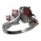 BG ring drop stone  494-P - Metal: Silver 925 - rhodium, Stone: Garnet