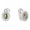 BG  earring 244-R7 oval - Metal: Silver 925 - rhodium, Stone: Garnet