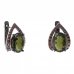 BG earring oval 479-90 - Metal: Silver 925 - rhodium, Stone: Garnet