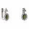 BG earring oval 498-87 - Metal: Silver 925 - rhodium, Stone: Garnet