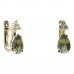 BG earring drop stone  494-87 - Metal: Silver 925 - rhodium, Stone: Garnet