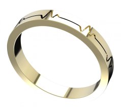 BG zlatý snubní prsten SN01