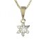 BG zlatý přívěšek s diamanty 978 Růžové zlato 585 (30-90dní) Diamant lab-grown
