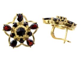 BG náušnice vsazený granát hvězdicový brus  446 Žluté zlato - 585 Granát