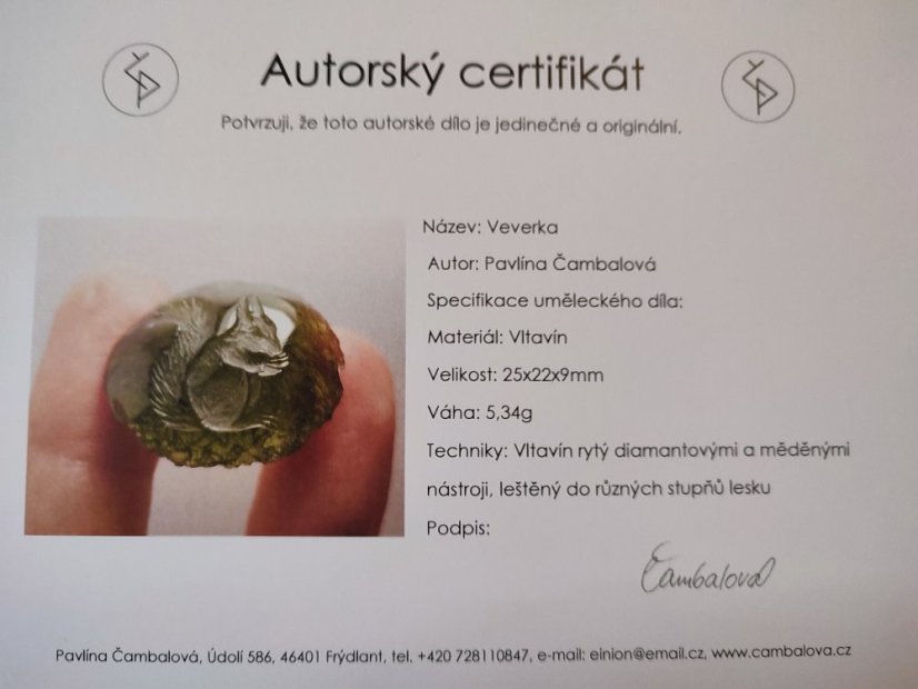 BG zlatý náhrdelník, přírodní kámen-Vltavín 001 - Veverka (Pavlína Čambalová)