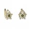 BG earring star 521-90 - Metal: Silver 925 - rhodium, Stone: Garnet